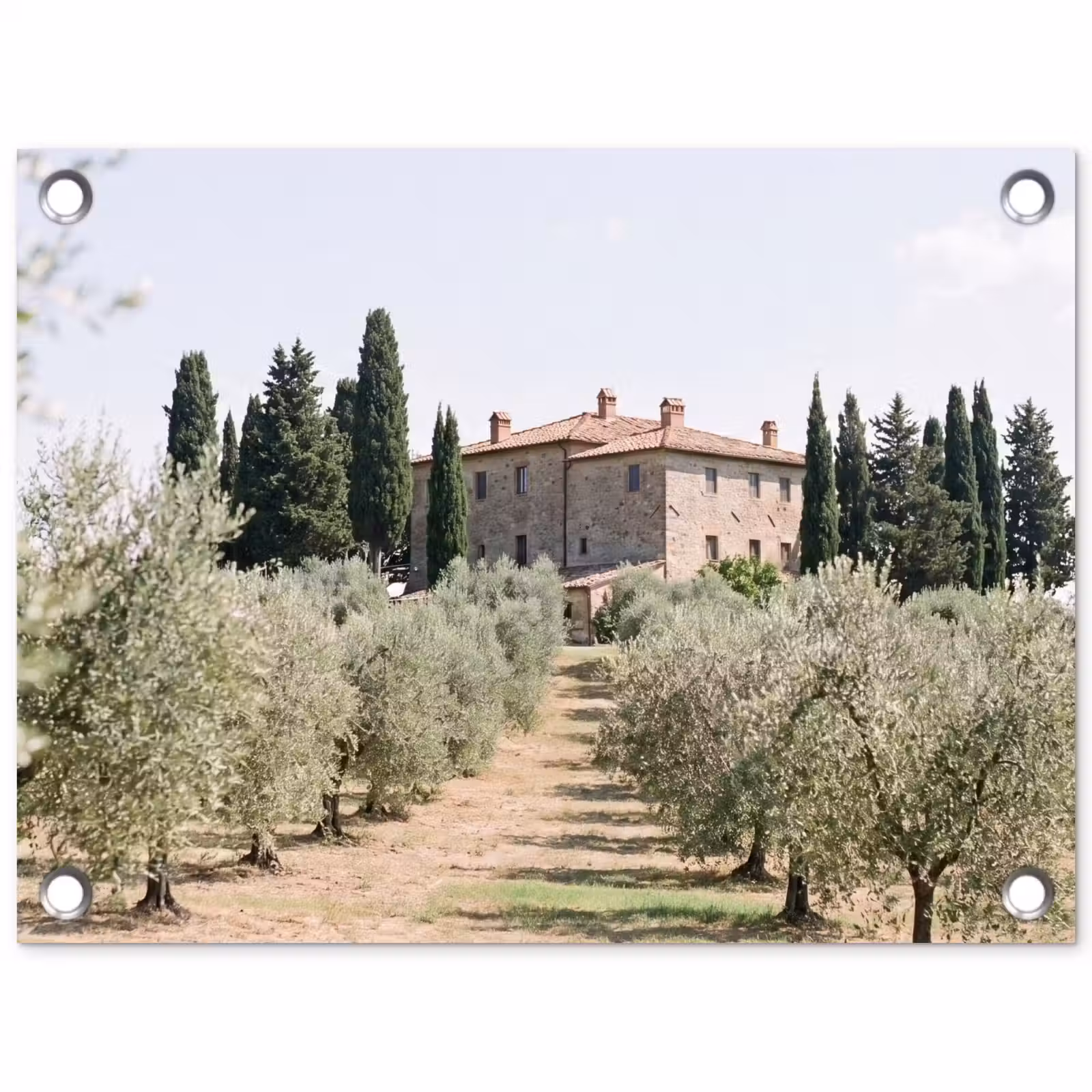 Garden Poster - Country house - olive tree - orchard - Landhuis - olijfboom - gaard tuinposter los doek klein