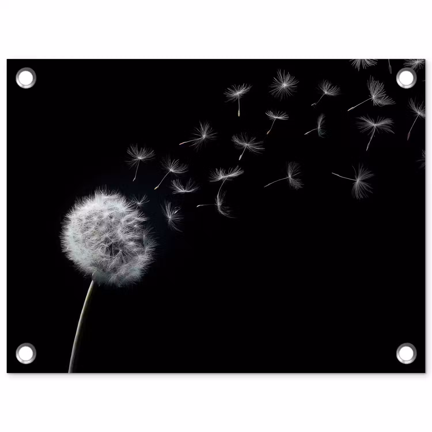 Paardenbloem - Zwart - Natuur tuinposter los doek klein -3d