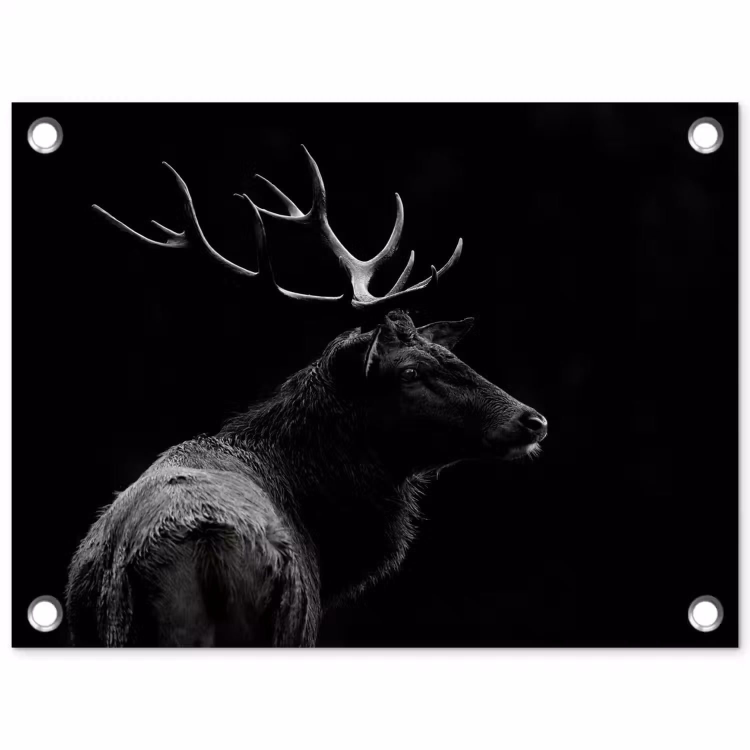 Hert - Zwart - Portret - Gewei - Dieren tuinposter los doek klein -3d