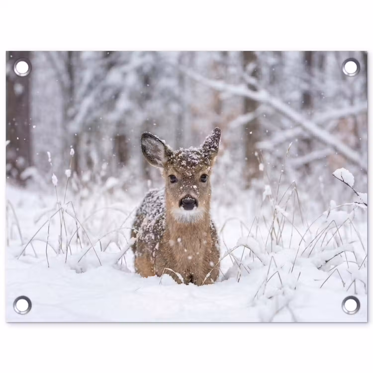 Hert - Sneeuw - Bos - Dieren - Vertederend tuinposter los doek klein -3d