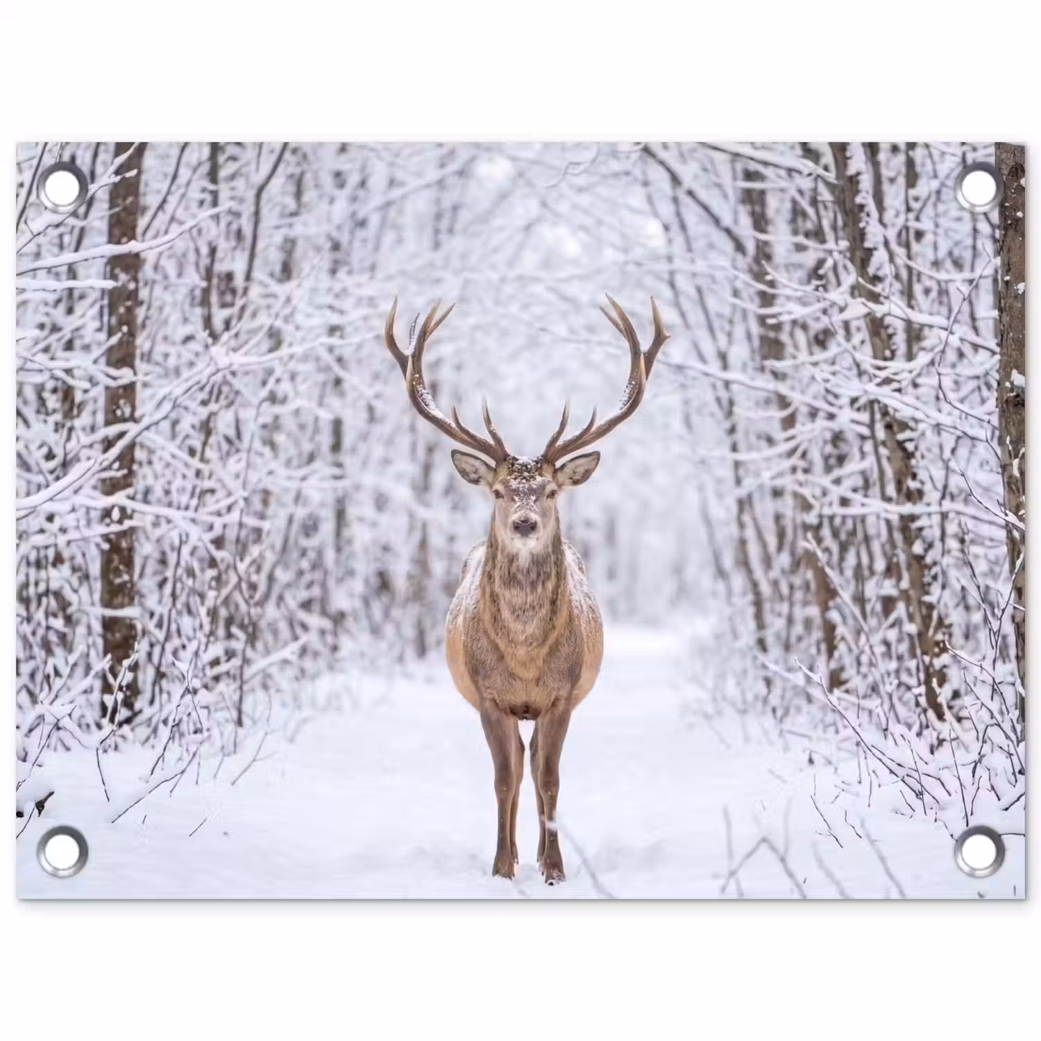 Hert - Winter - Bos - Natuur - Wit tuinposter los doek klein -3d
