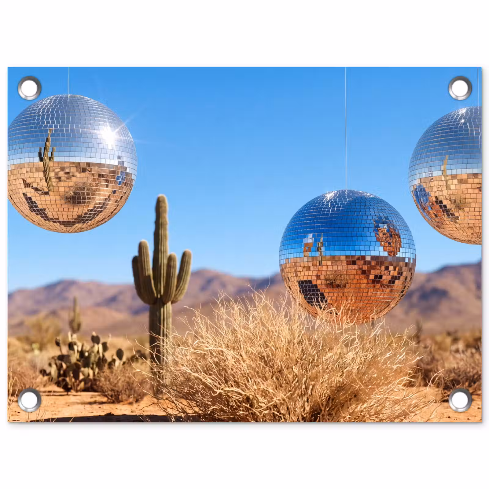 Garden Poster - Desert - Mirror Ball - Art - Woestijn - Spiegelbal - Kunst tuinposter los doek klein