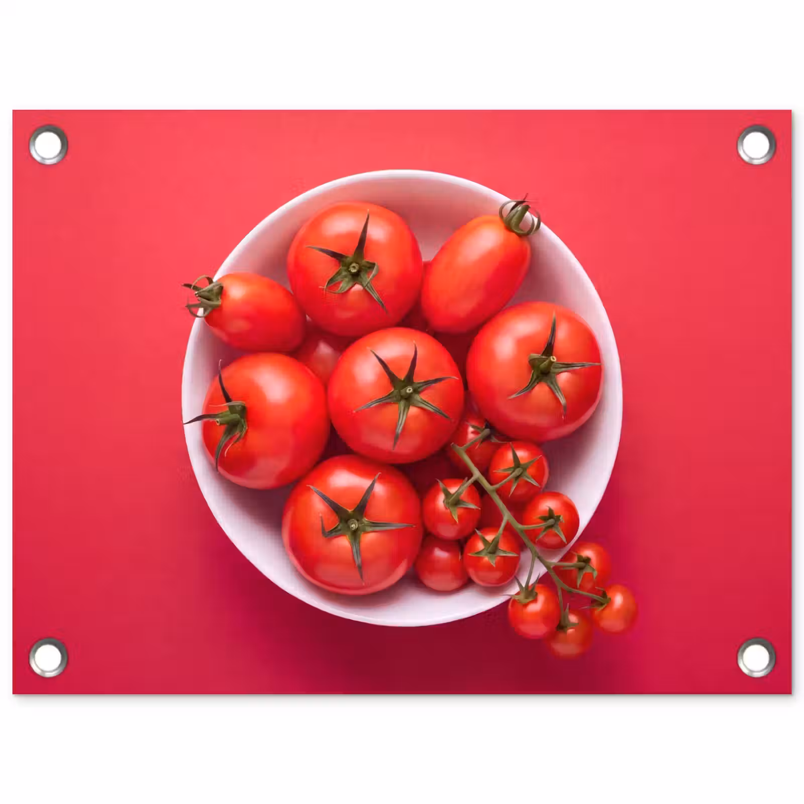 Garden Poster - Dinner Plate - Red - Eten - Kom - Rood tuinposter los doek klein