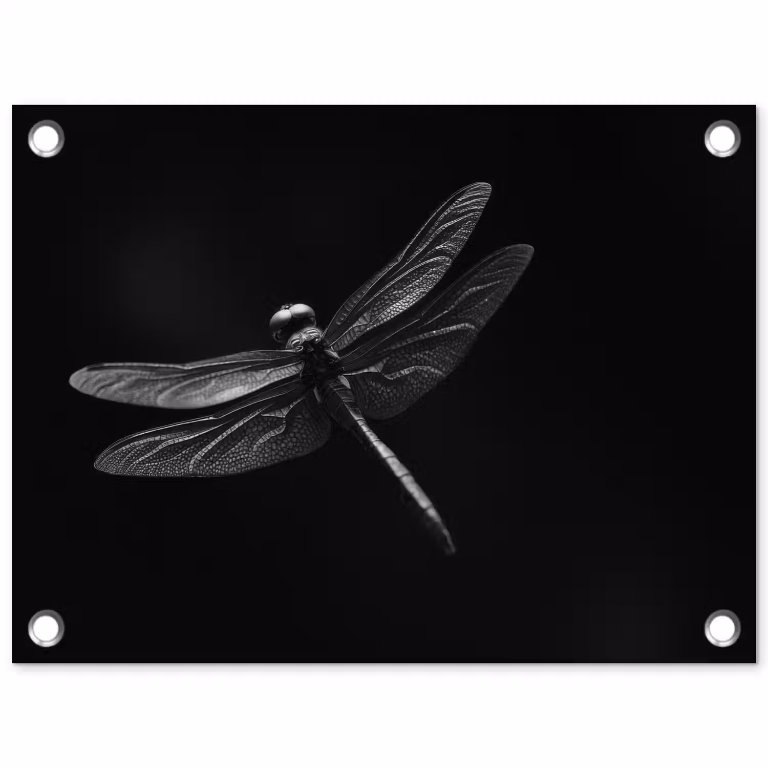Libelle - Dieren - Zwart - Insect tuinposter los doek klein -3d