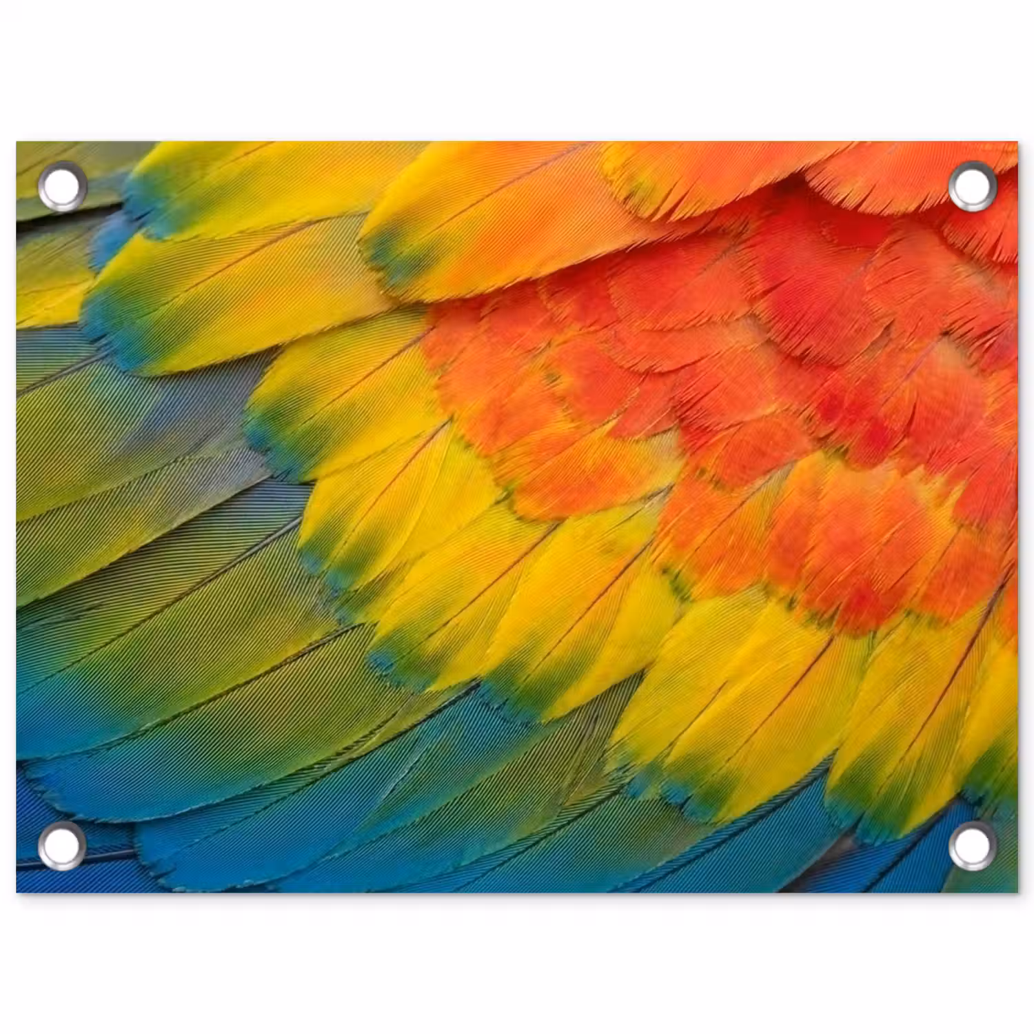 Veren - Ara - Kleurrijk tuinposter los doek klein -3d
