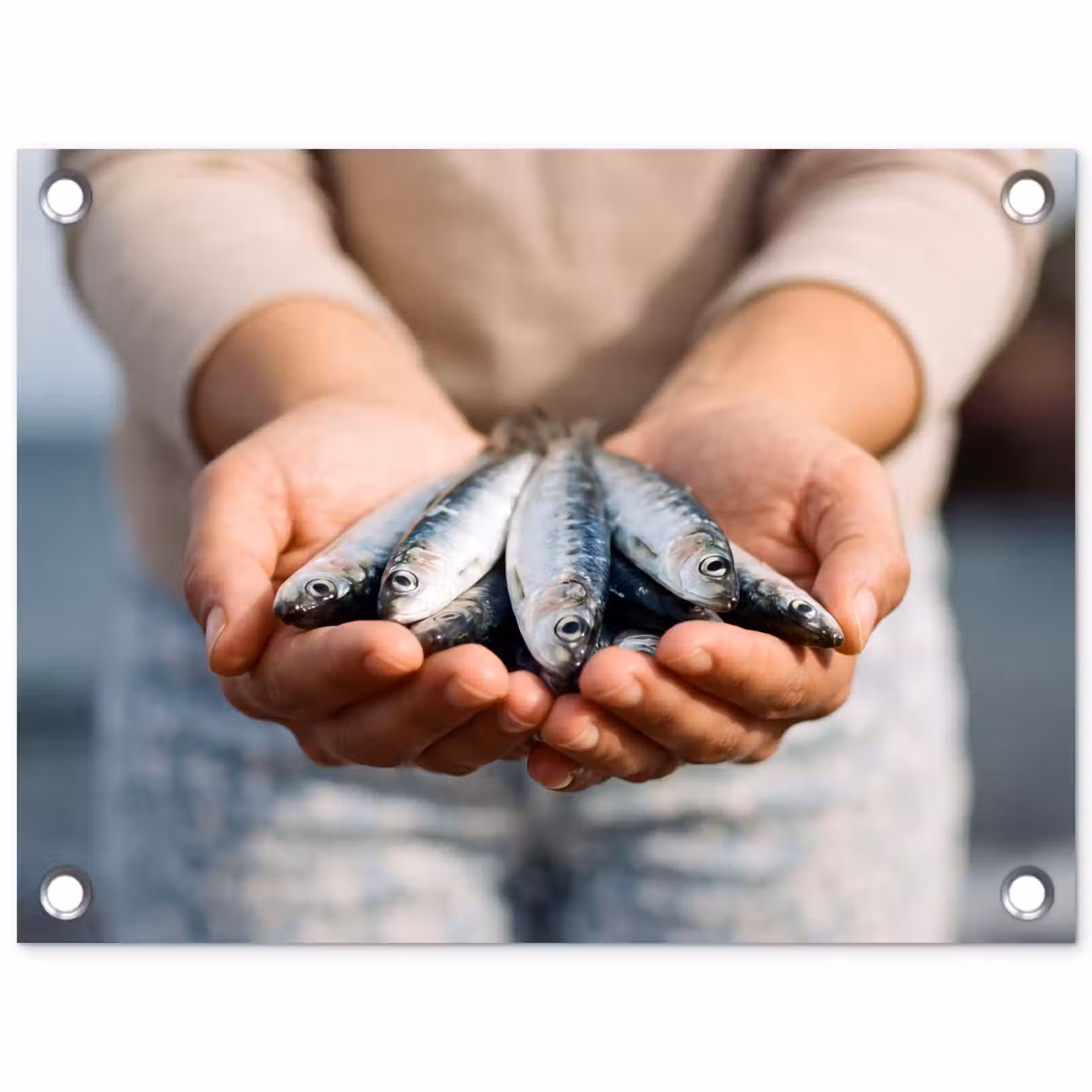 Garden Poster - Fish - Hands - Nature - Vis - Handen - Natuur tuinposter los doek klein