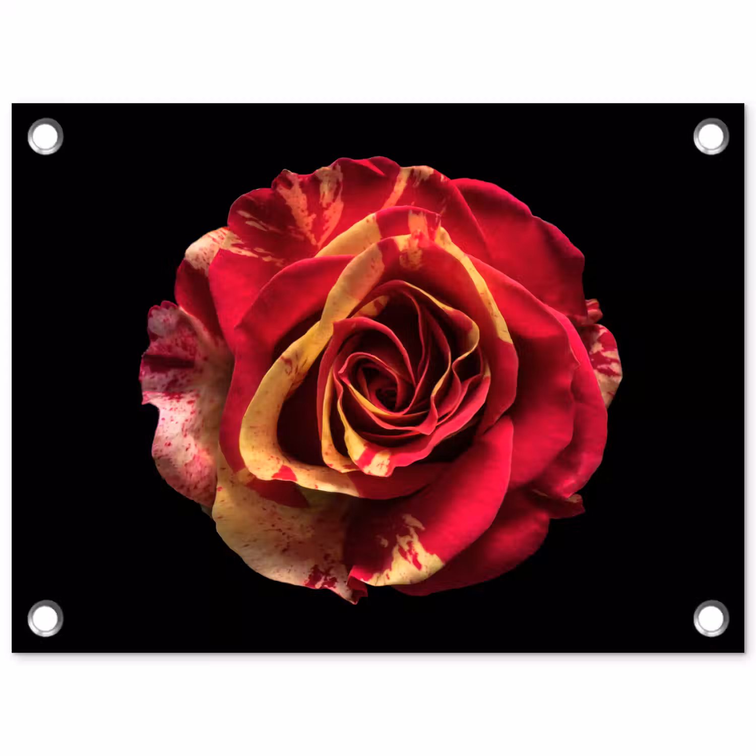 Bloem - Roos - Rood - Zwart tuinposter los doek klein -3d