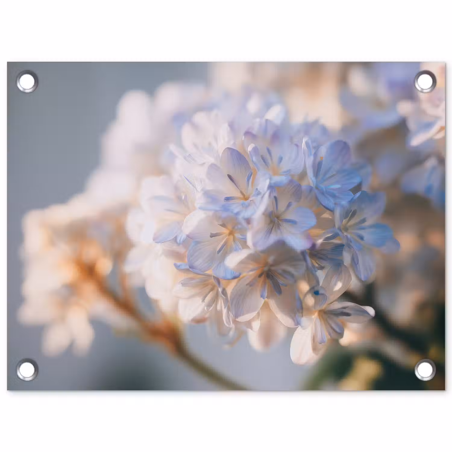 Bloemen - Lichtblauw - Wazig - Trosje tuinposter los doek klein -3d