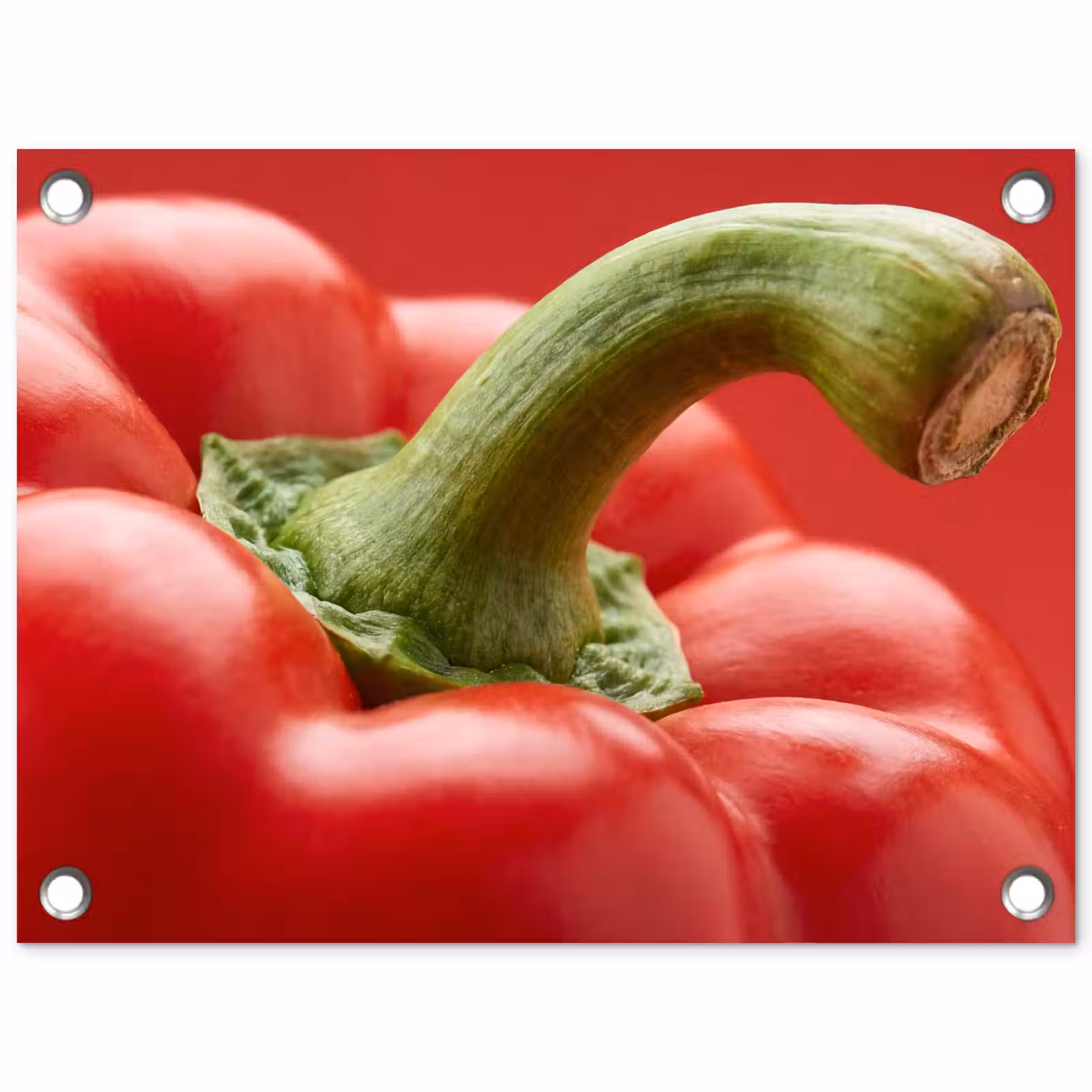 Garden Poster - Food - Bell Pepper - Red - Eten - Paprika - Rood tuinposter los doek klein