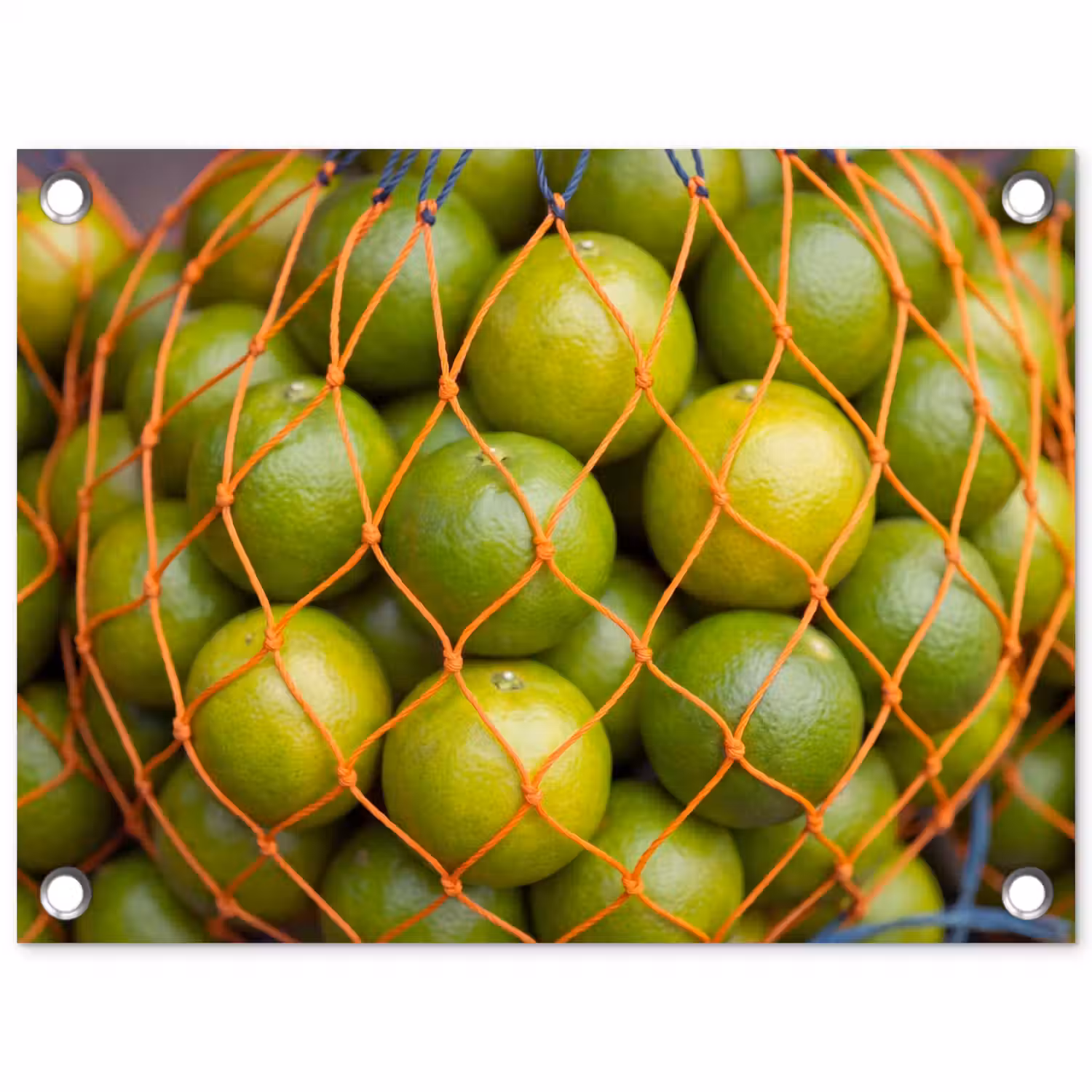 Eten - Net - Groen - Markt tuinposter los doek klein -3d