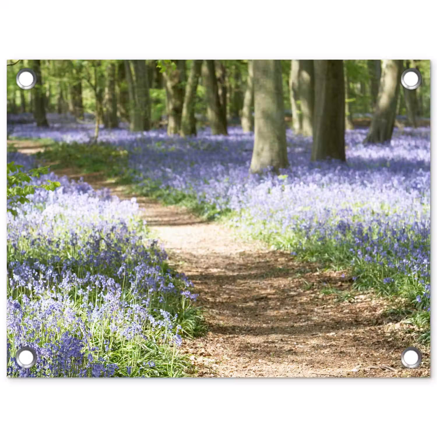Bos - Pad - Bloemen - Paars - Groen - Natuur tuinposter los doek klein -3d