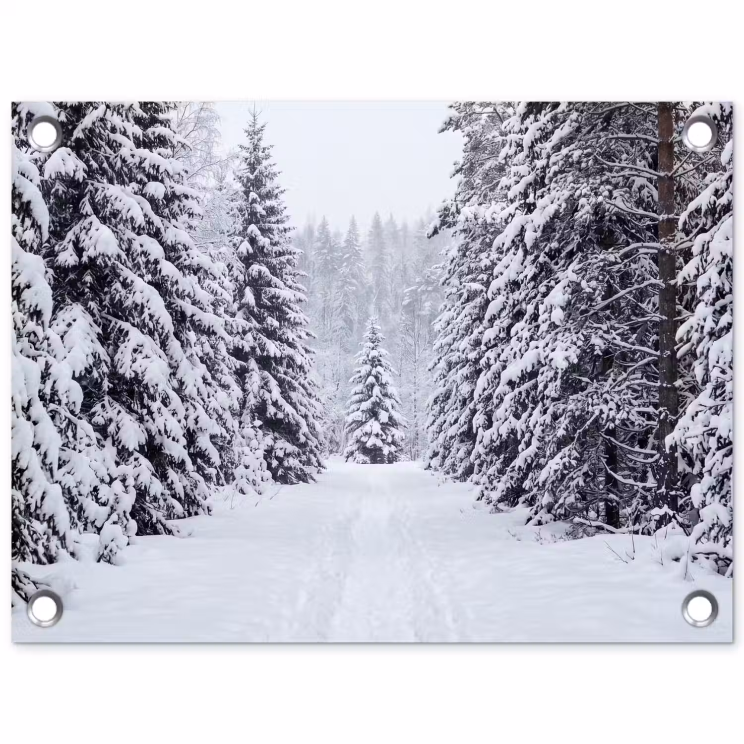 Bos - Winter - Sneeuw - Pad - Natuur tuinposter los doek klein -3d