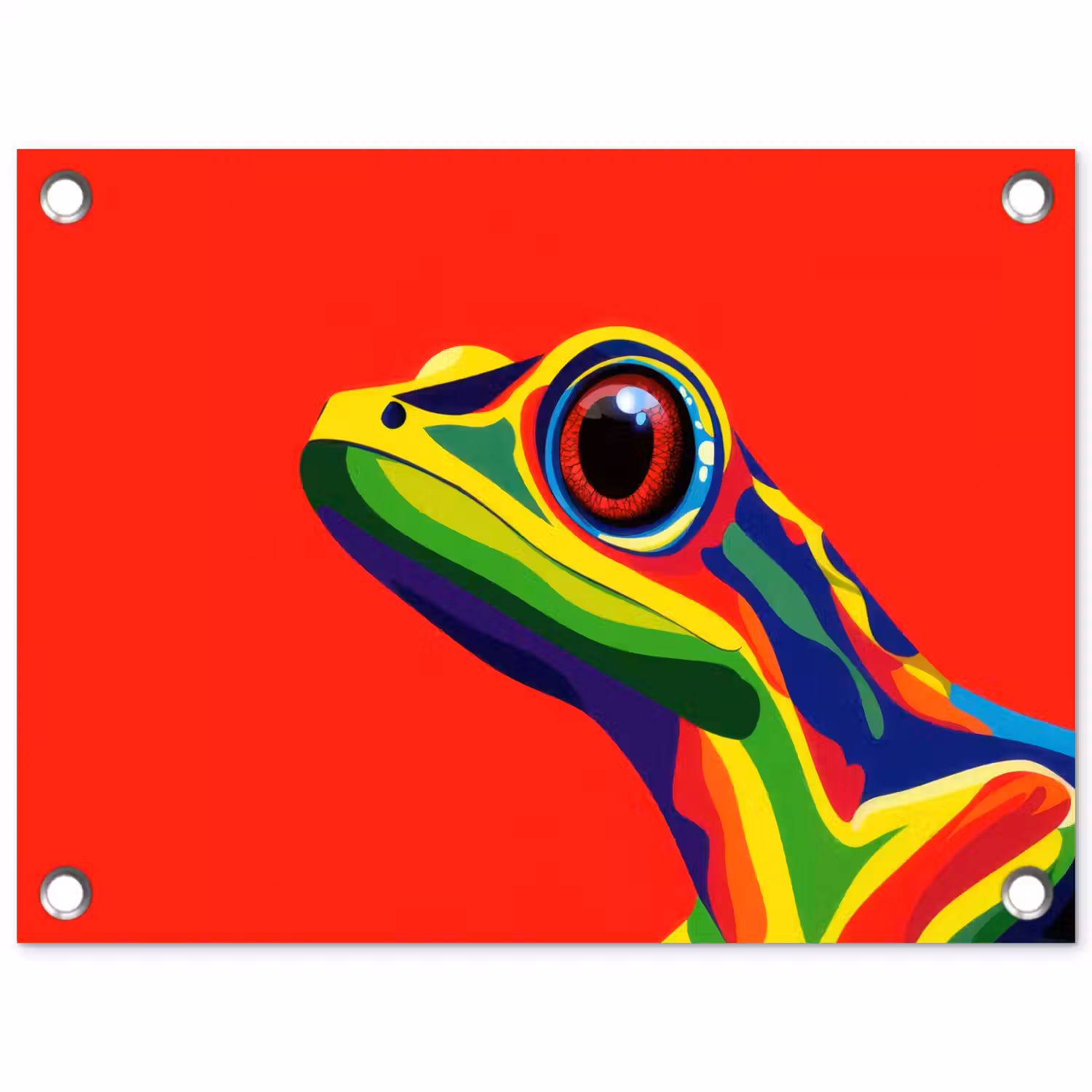 Kikker - Kleurrijk - Strepen - Ogen tuinposter los doek klein -3d