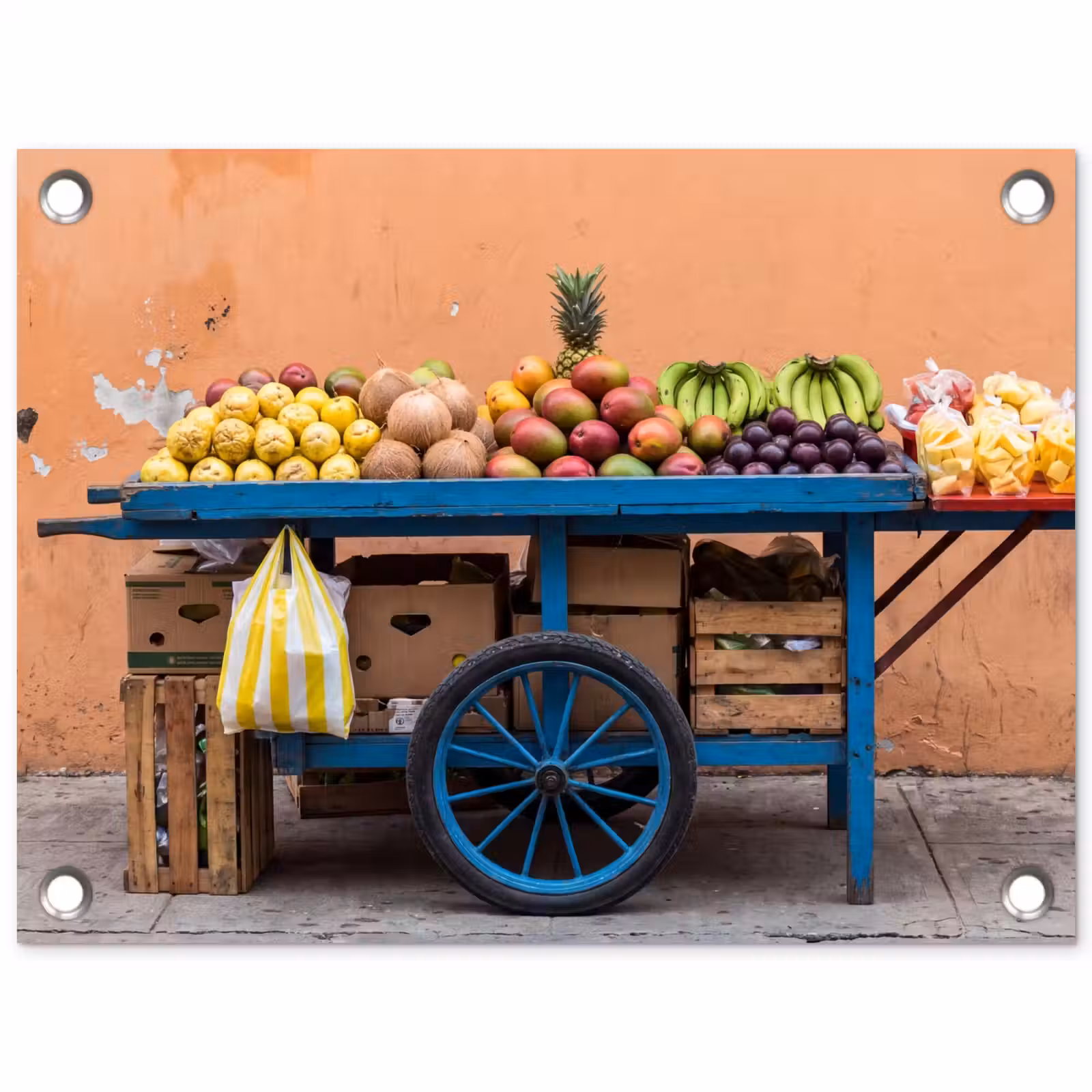 Garden Poster - Fruit - Cart - Street - Fruit - Kar - Straat tuinposter los doek klein
