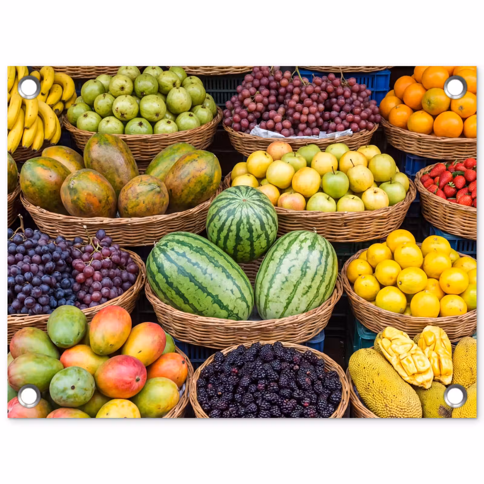 Garden Poster - Fruit - Market - Colorful - Fruit - Markt - Kleurrijk tuinposter los doek klein