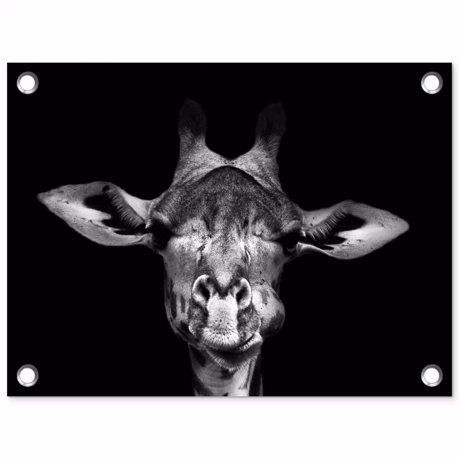 Giraffe - Portret - Dieren - Zwart - Wit tuinposter los doek klein -3d