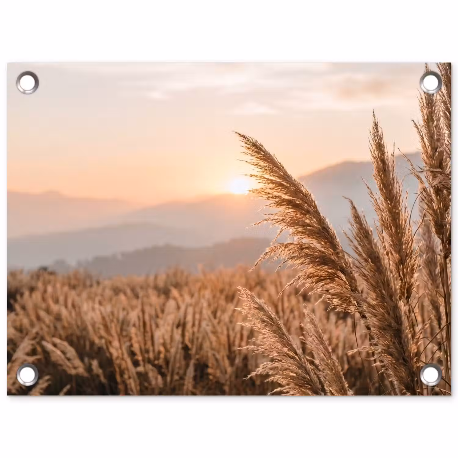 Gras - Veld - Zon - Natuur tuinposter los doek klein -3d