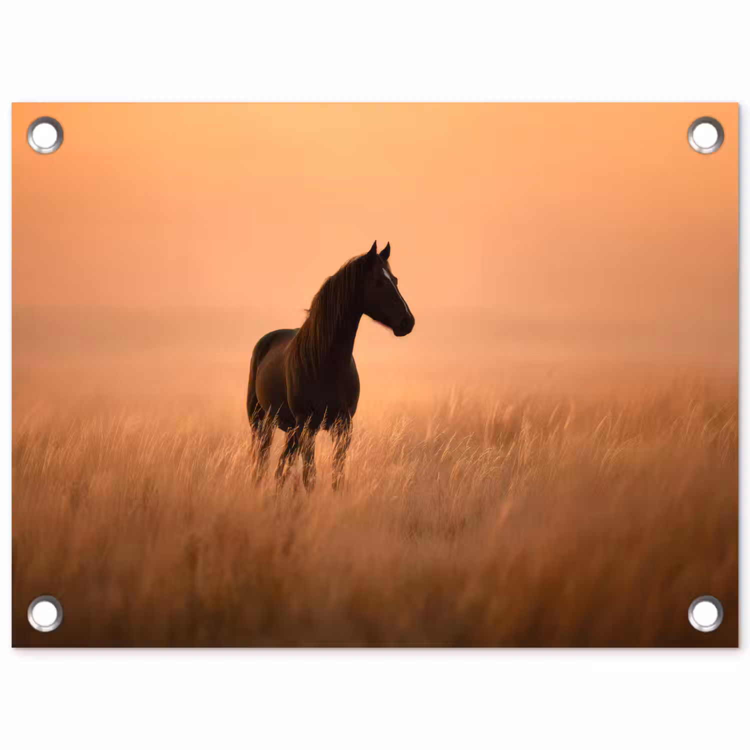 Paard - Grasveld - Zonsondergang tuinposter los doek klein -3d
