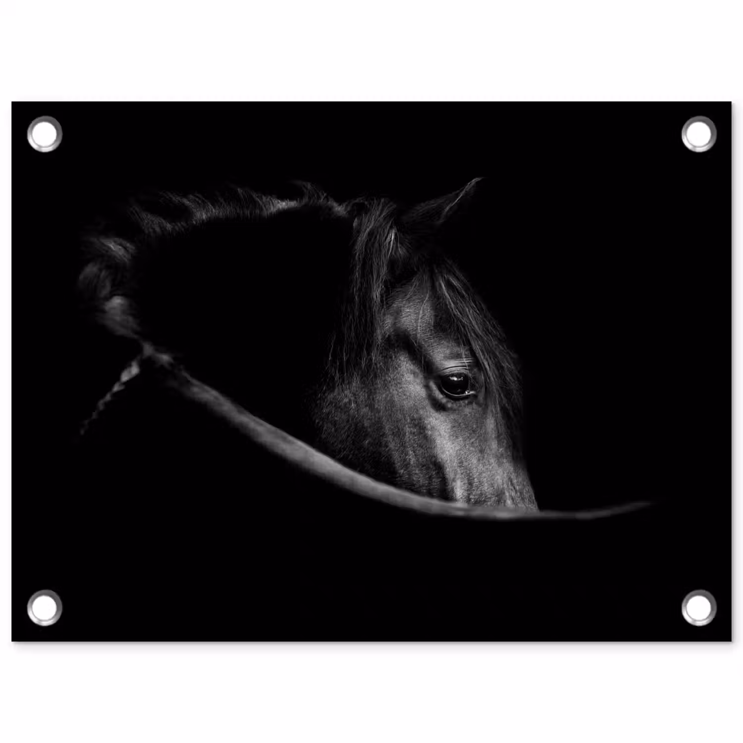 Paarden - Portret - Zwart - Dieren tuinposter los doek klein -3d