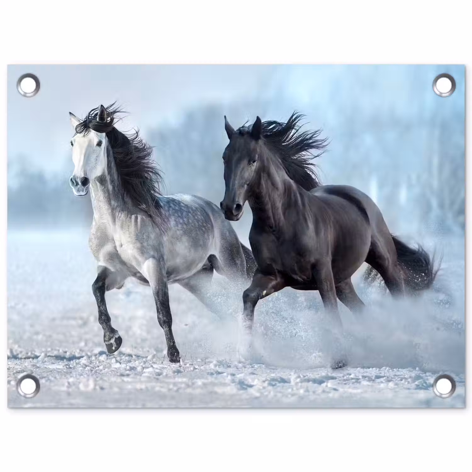 Paarden - Winter - Dieren - Natuur - Sneeuw tuinposter los doek klein -3d