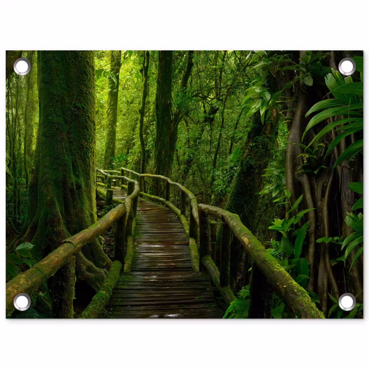 Jungle - Brug - Mos - Natuur - Tropisch tuinposter los doek klein -3d