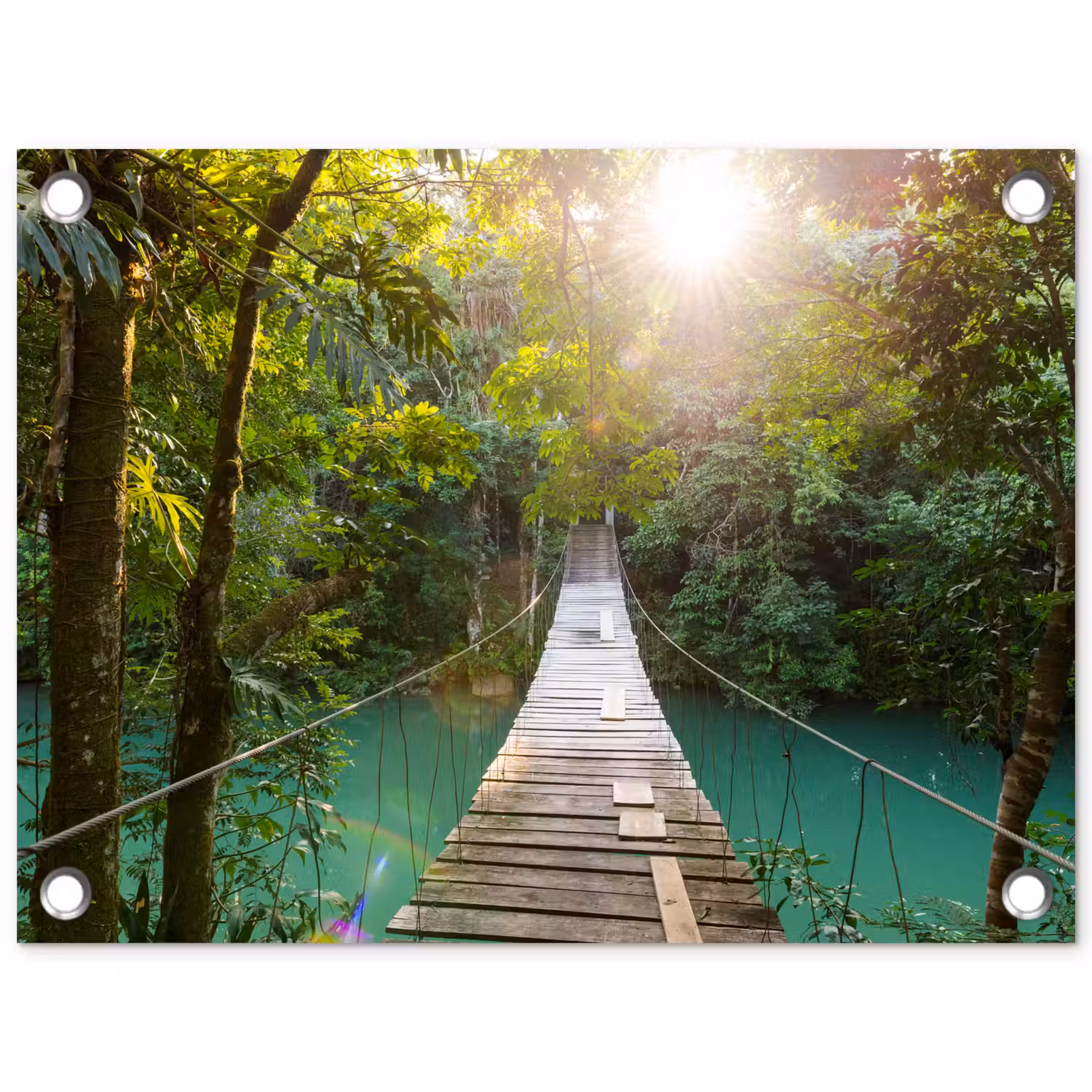 Jungle - Water - Brug - Natuur - Planten tuinposter los doek klein -3d