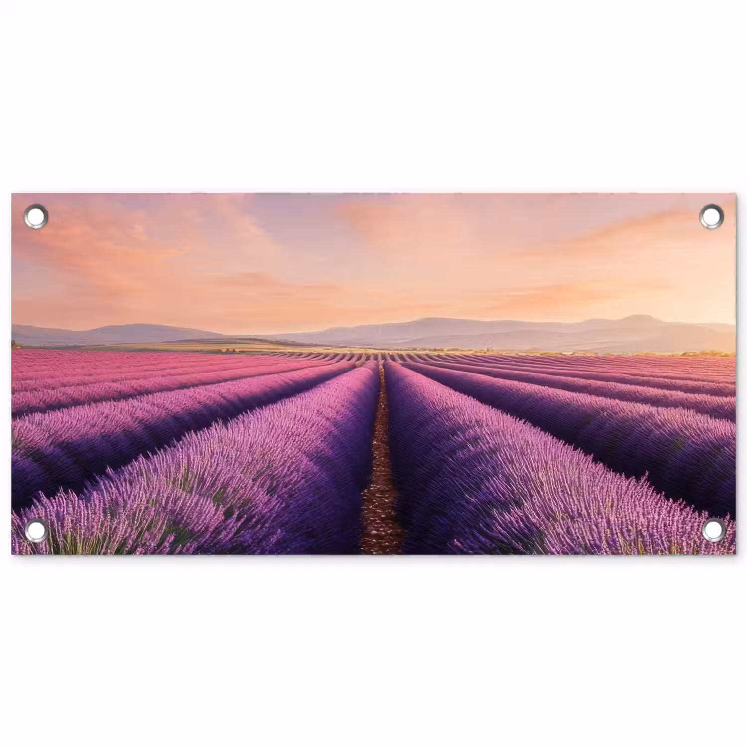 Lavendelveld - Zonsondergang - Paars - Bloemen tuinposter los doek klein -3d