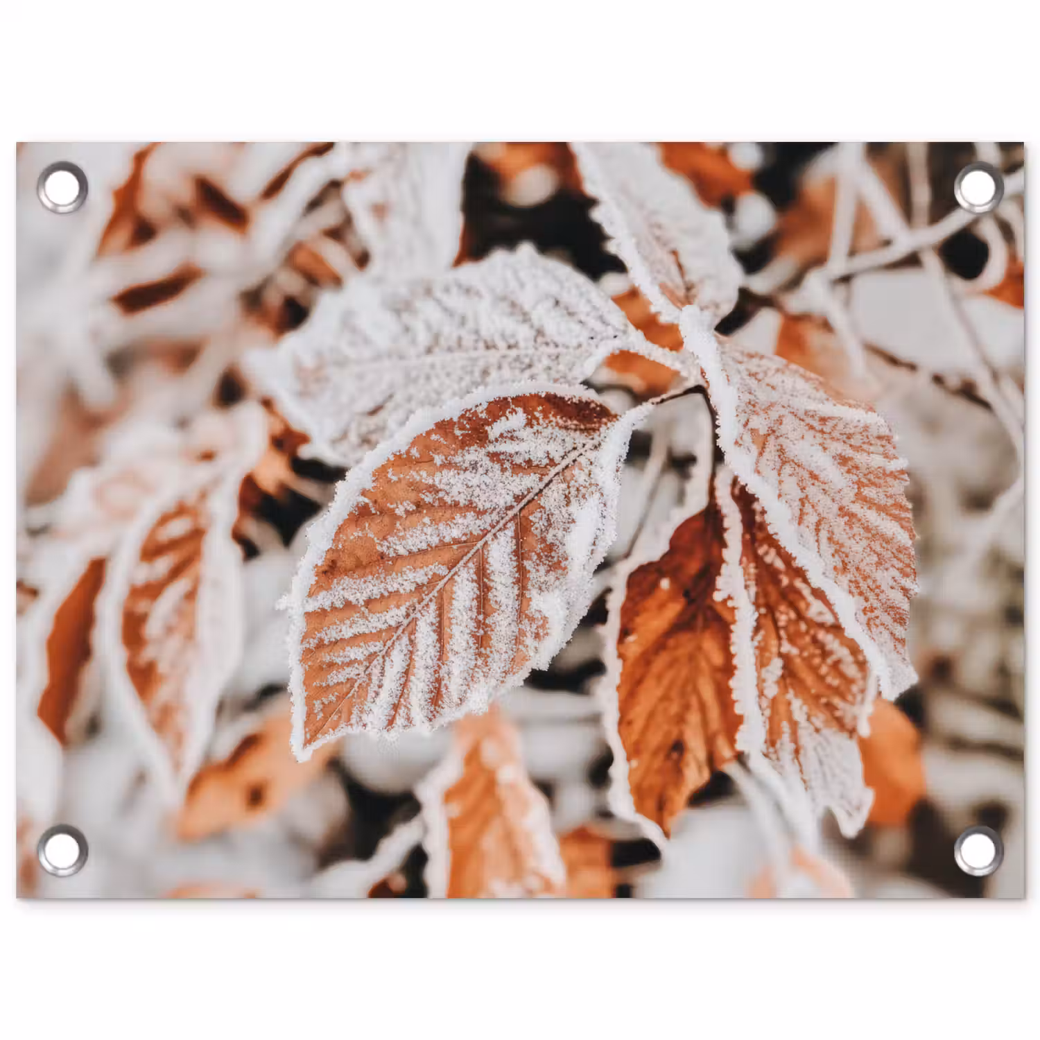 Bladeren - IJs - Winter - Natuur tuinposter los doek klein -3d