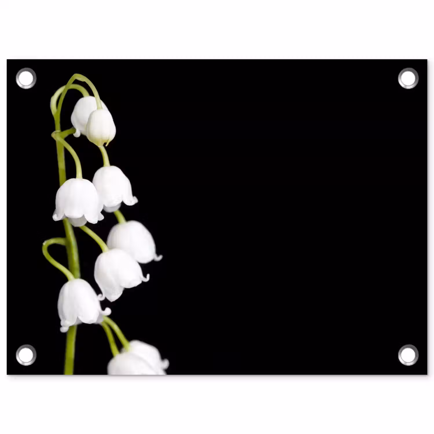 Lelietjes van dalen - Bloemen - Zwart - Flora tuinposter los doek klein -3d