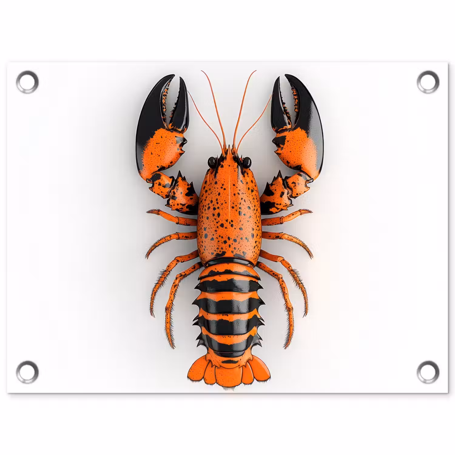 Kreeft - Zwart - Oranje - Wit - Uniek tuinposter los doek klein -3d
