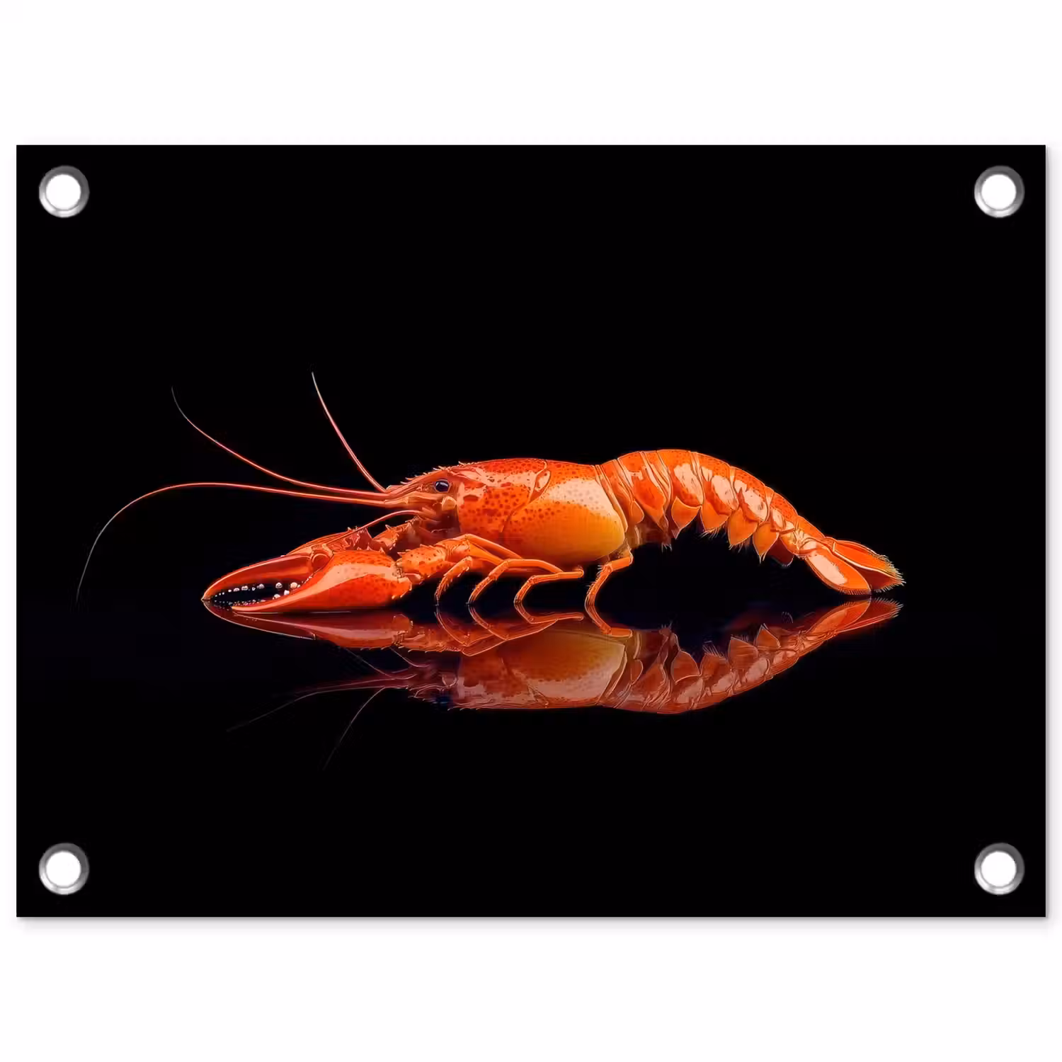 Kreeft - Oranje - Zwart - Opvallend tuinposter los doek klein -3d