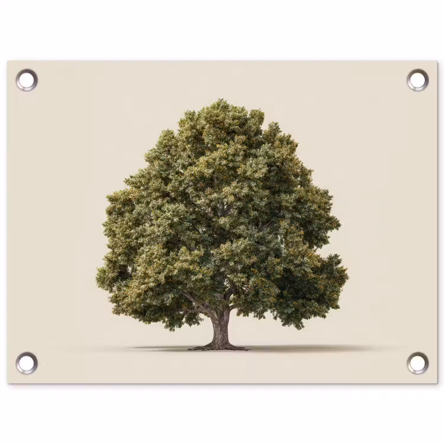 Eikenboom - Groen - Lichte achtergrond tuinposter los doek klein -3d