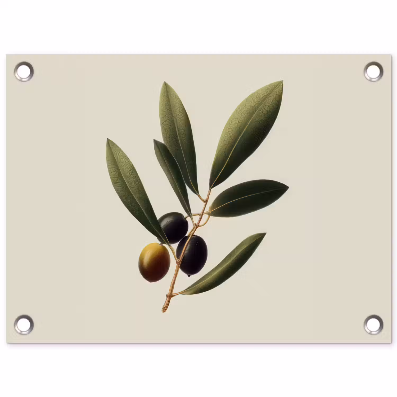 Olijftak - Donkergroen - Olijven tuinposter los doek klein -3d
