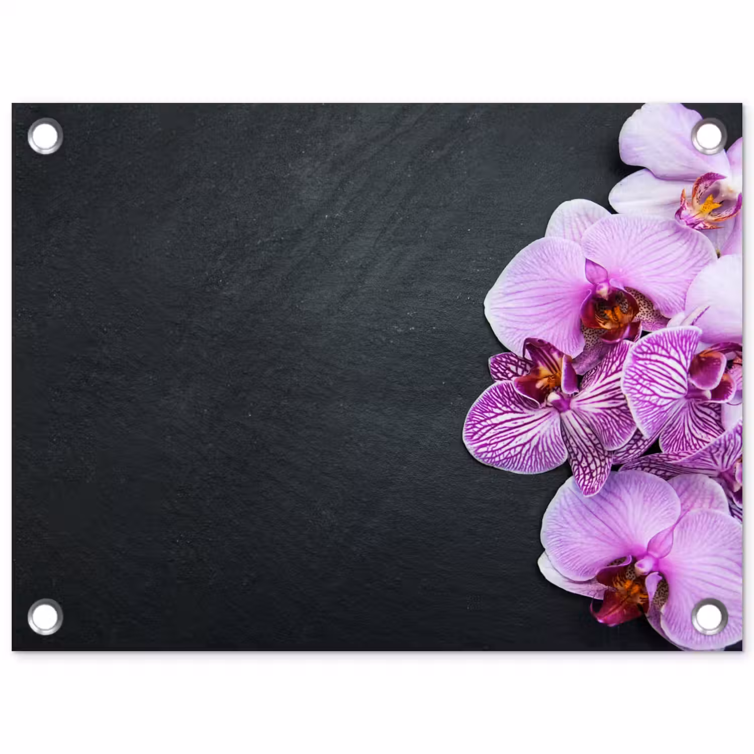 Orchidee - Bloemen - Roze - Flora tuinposter los doek klein -3d