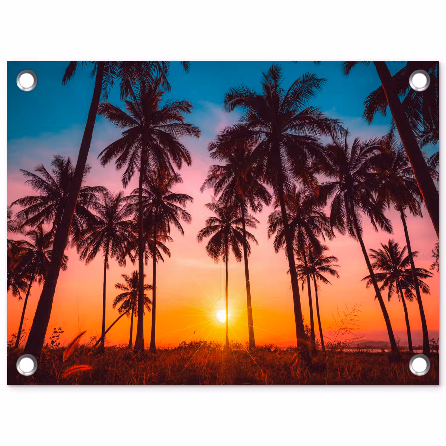 Palmboom - Zonsondergang - Horizon - Strand - Oranje - Roze tuinposter los doek klein -3d