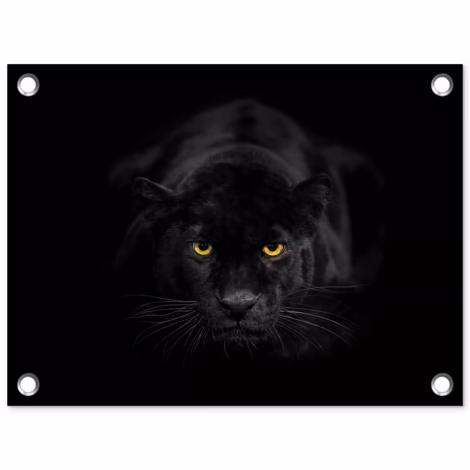 Panter - Dieren - Zwart - Ogen tuinposter los doek klein -3d