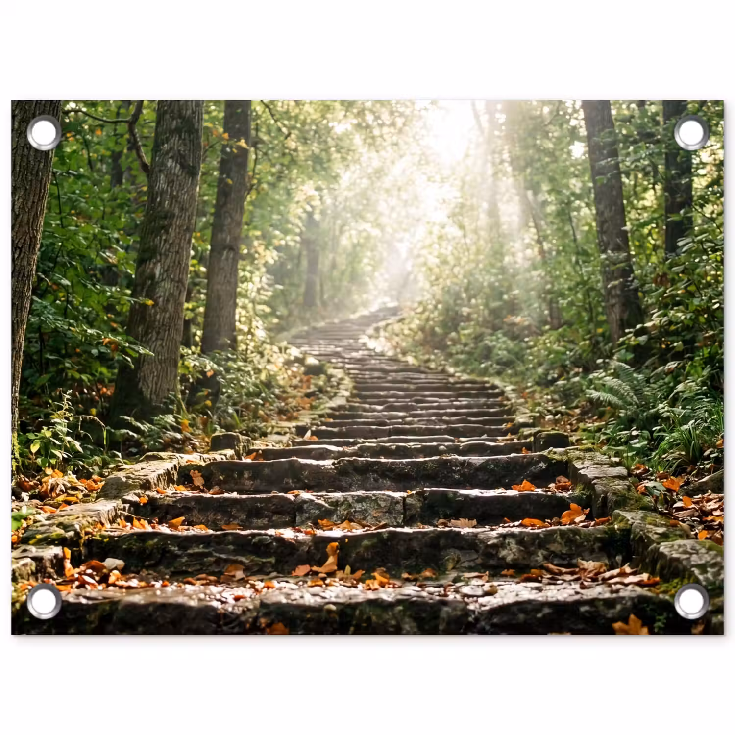 Stenen - Trap - Bos - Natuur tuinposter los doek klein -3d