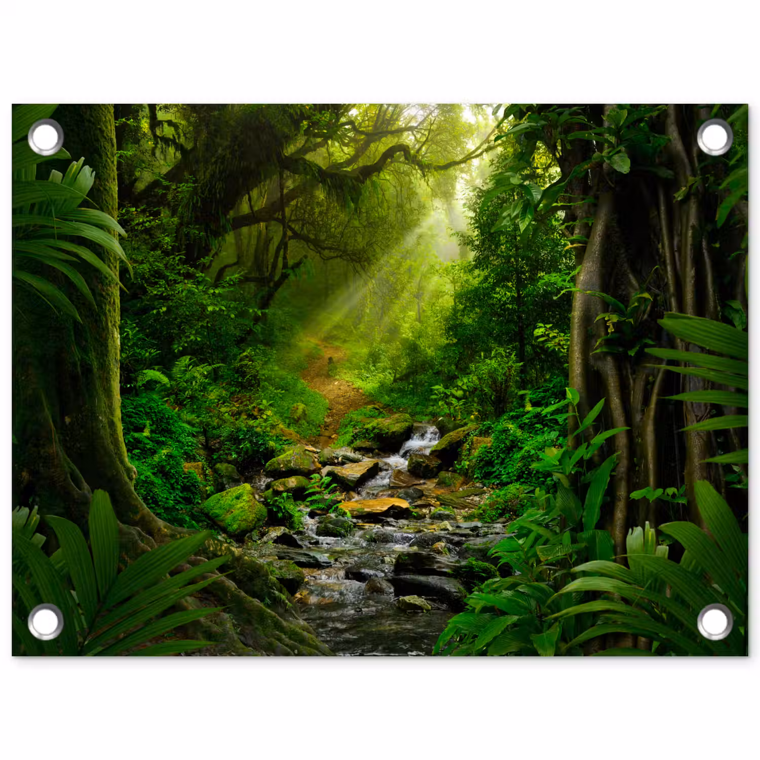 Pad door het Regenwoud tuinposter los doek klein -3d