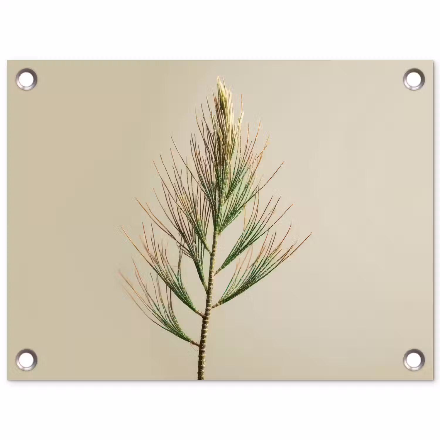 Dennentak - Naaldvormige bladeren - Lichtgroen tuinposter los doek klein -3d