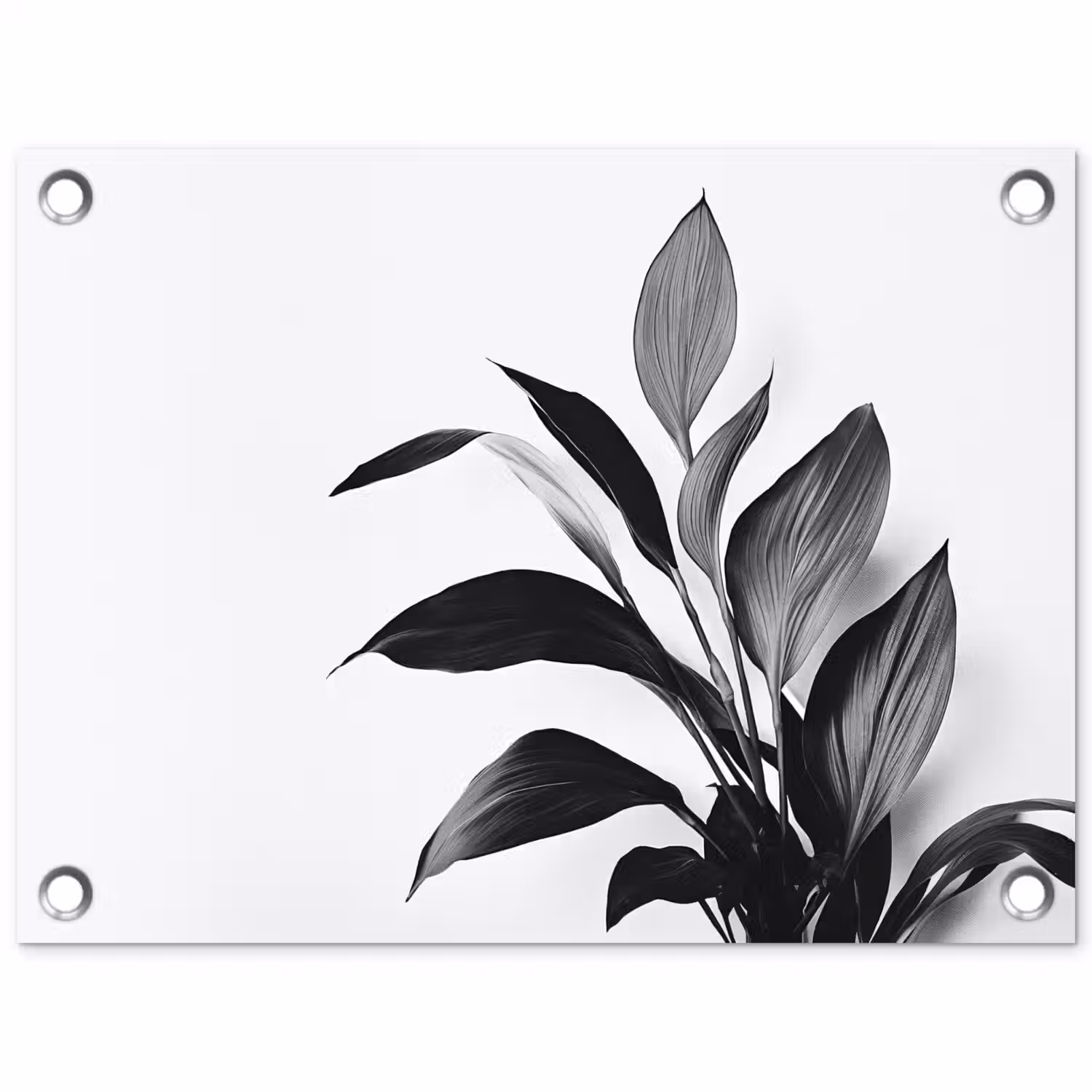 Plant - Bladeren - Minimalistisch - Zwart tuinposter los doek klein -3d