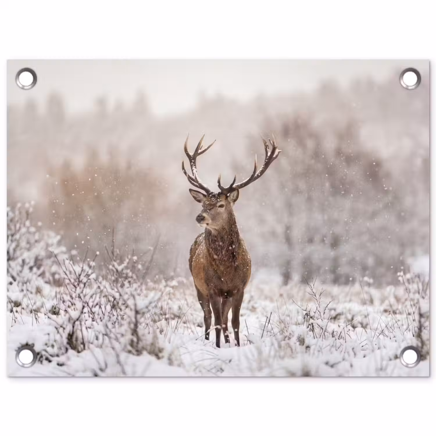 Edelhert - Bos - Sneeuw - Winter - Majestueus tuinposter los doek klein -3d