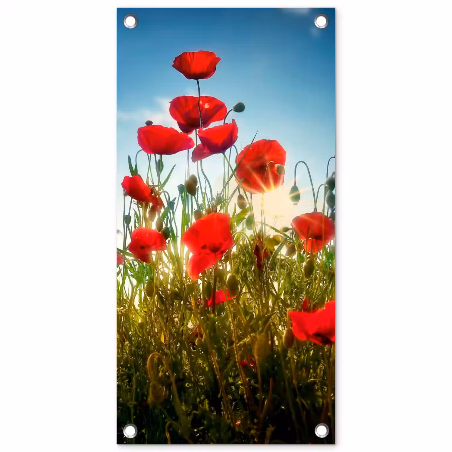Rode klaprozen tegen de hemel tuinposter los doek klein -3d