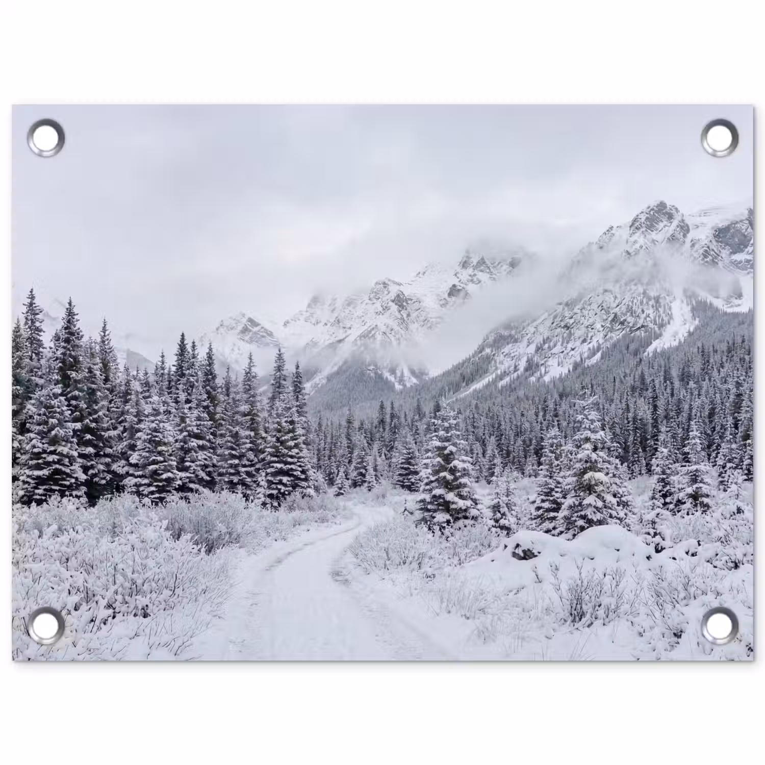Weg - Bergen - Sneeuw - Naaldbos - Avontuurlijk tuinposter los doek klein -3d