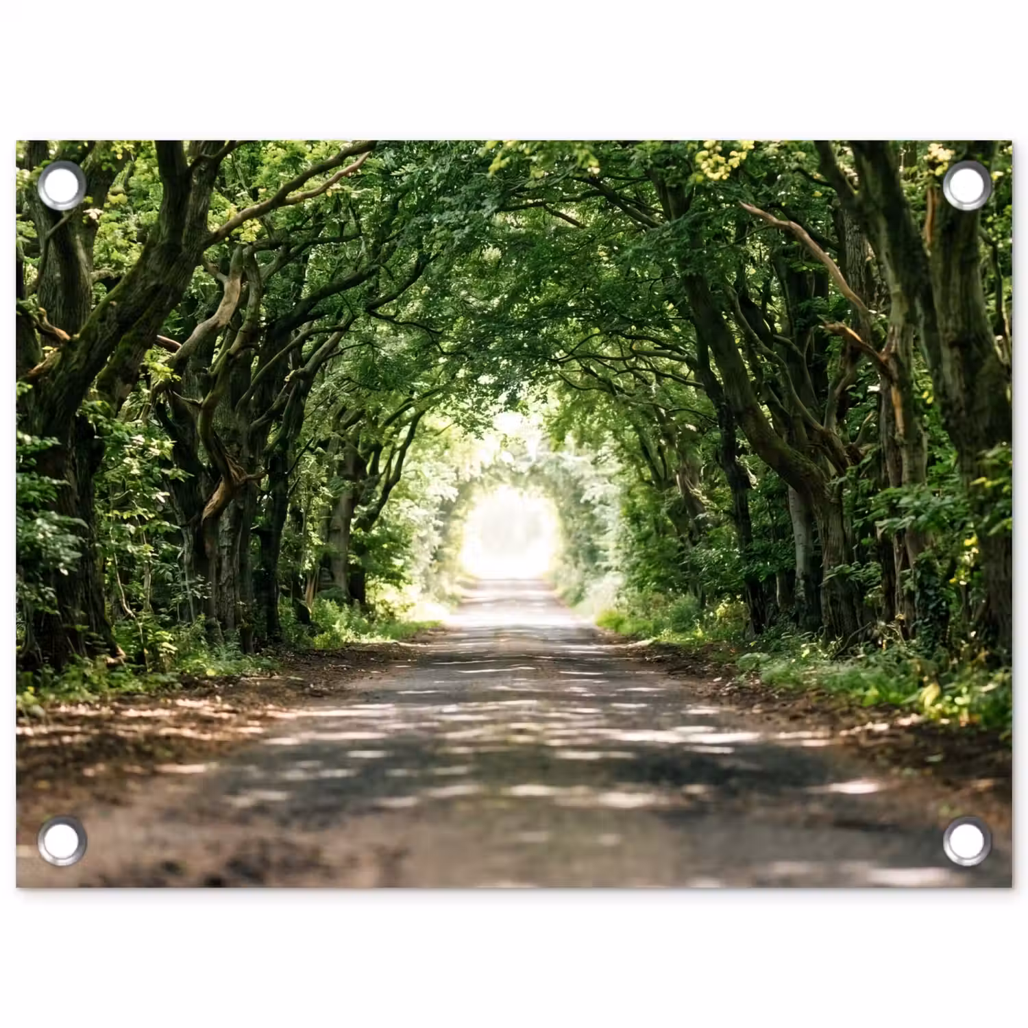 Weg - Bomen - Natuur - Groen tuinposter los doek klein -3d