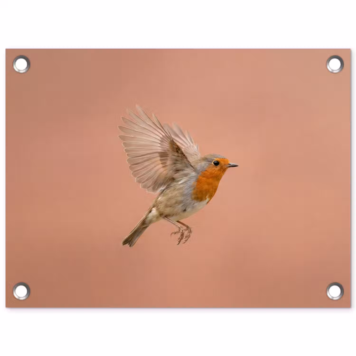 Roodborst - Natuur - Roze tuinposter los doek klein -3d