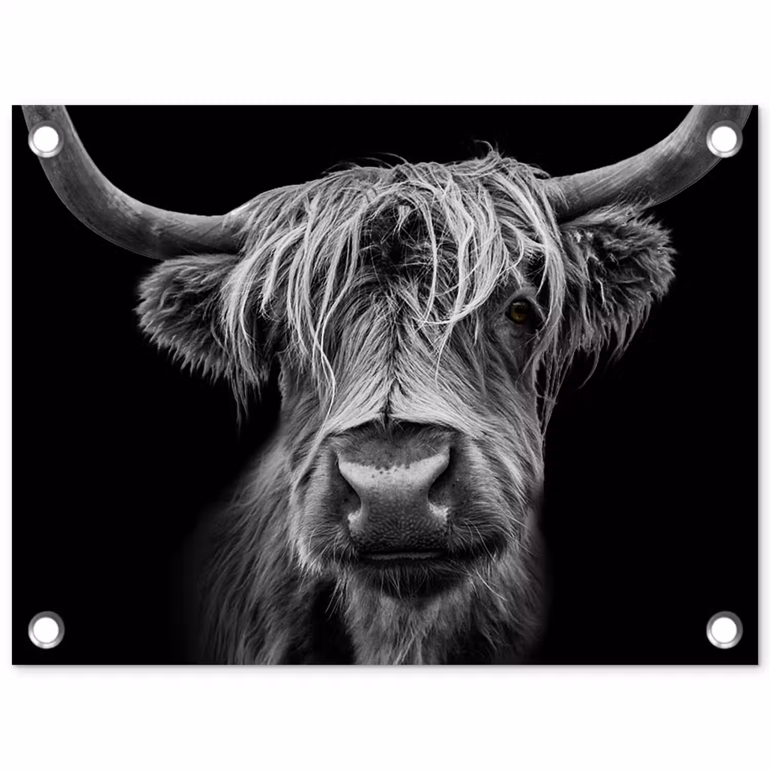 Schotse Hooglander - Horens - Zwart - Wit - Koe - Wild - Dieren tuinposter los doek klein -3d