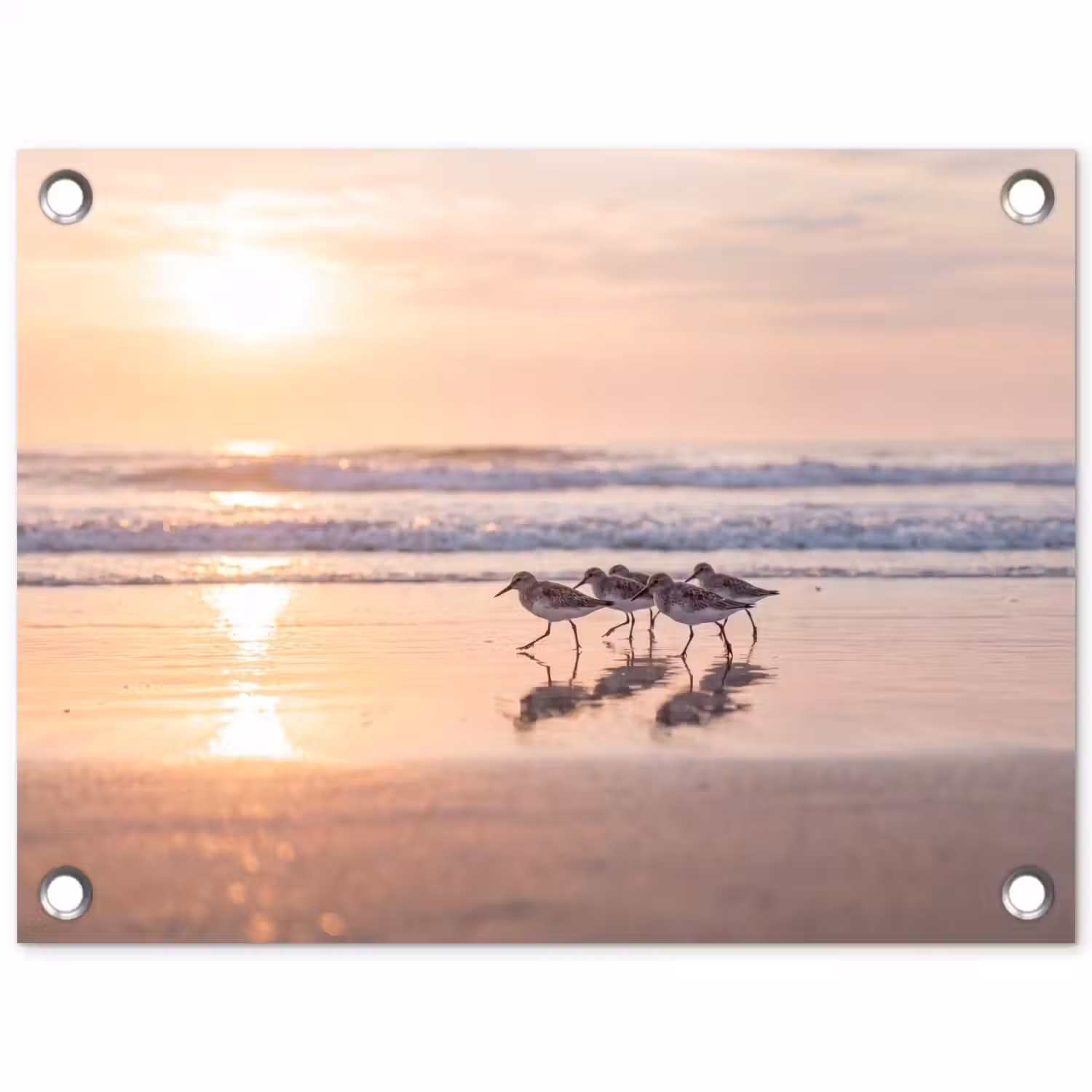 Zee - Vogels - Strand tuinposter los doek klein -3d