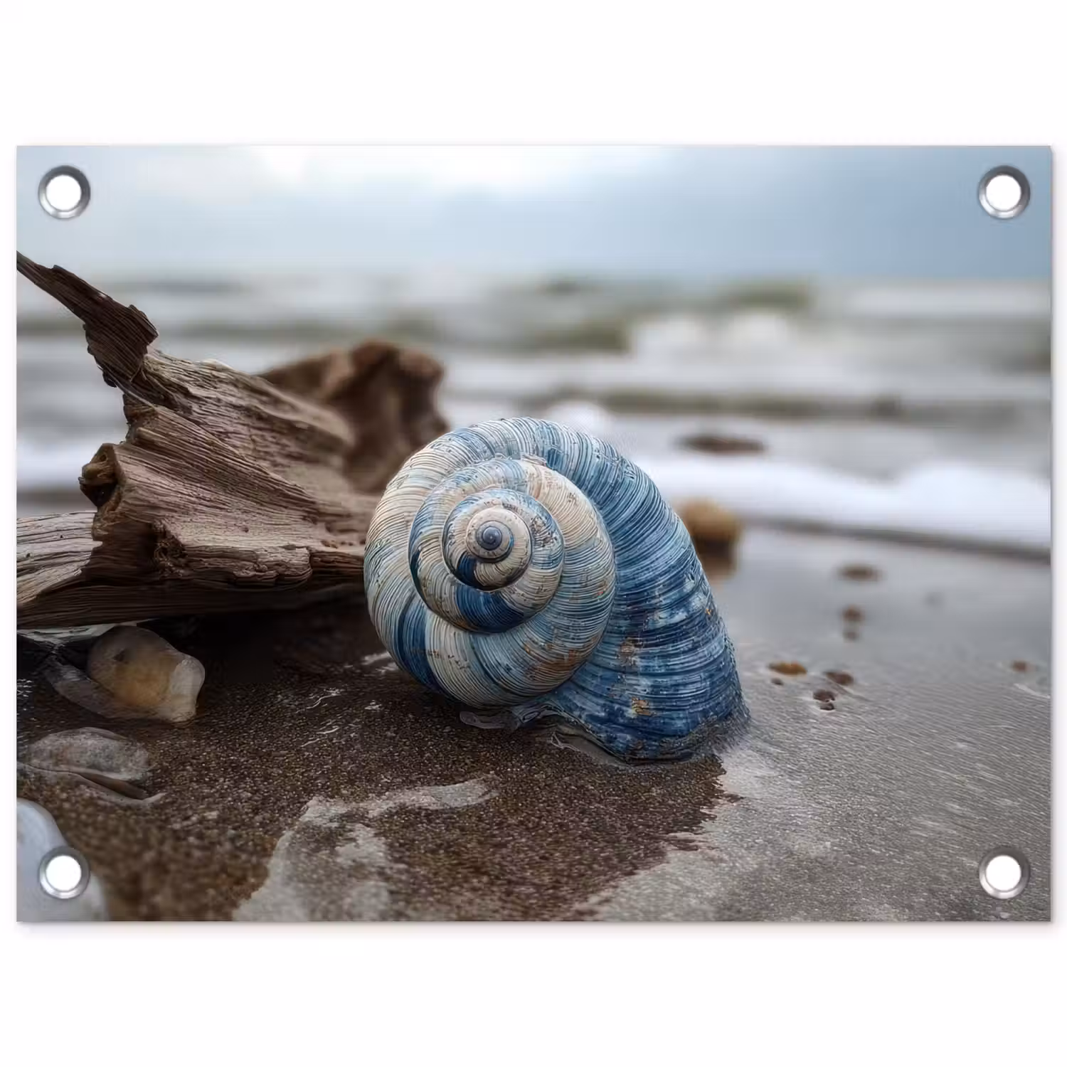Schelp - Strand - Blauw - Zee tuinposter los doek klein -3d