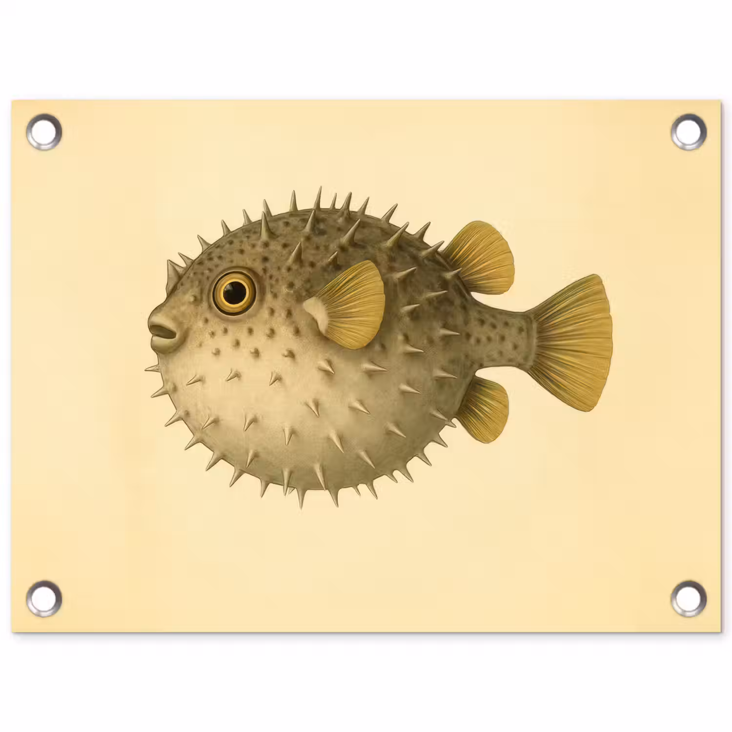 Stekels - Vis - Opgeblazen - Bruin tuinposter los doek klein -3d