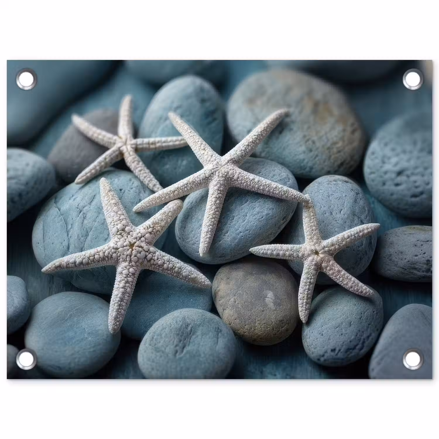 Zeesterren - Stenen - Wit tuinposter los doek klein -3d